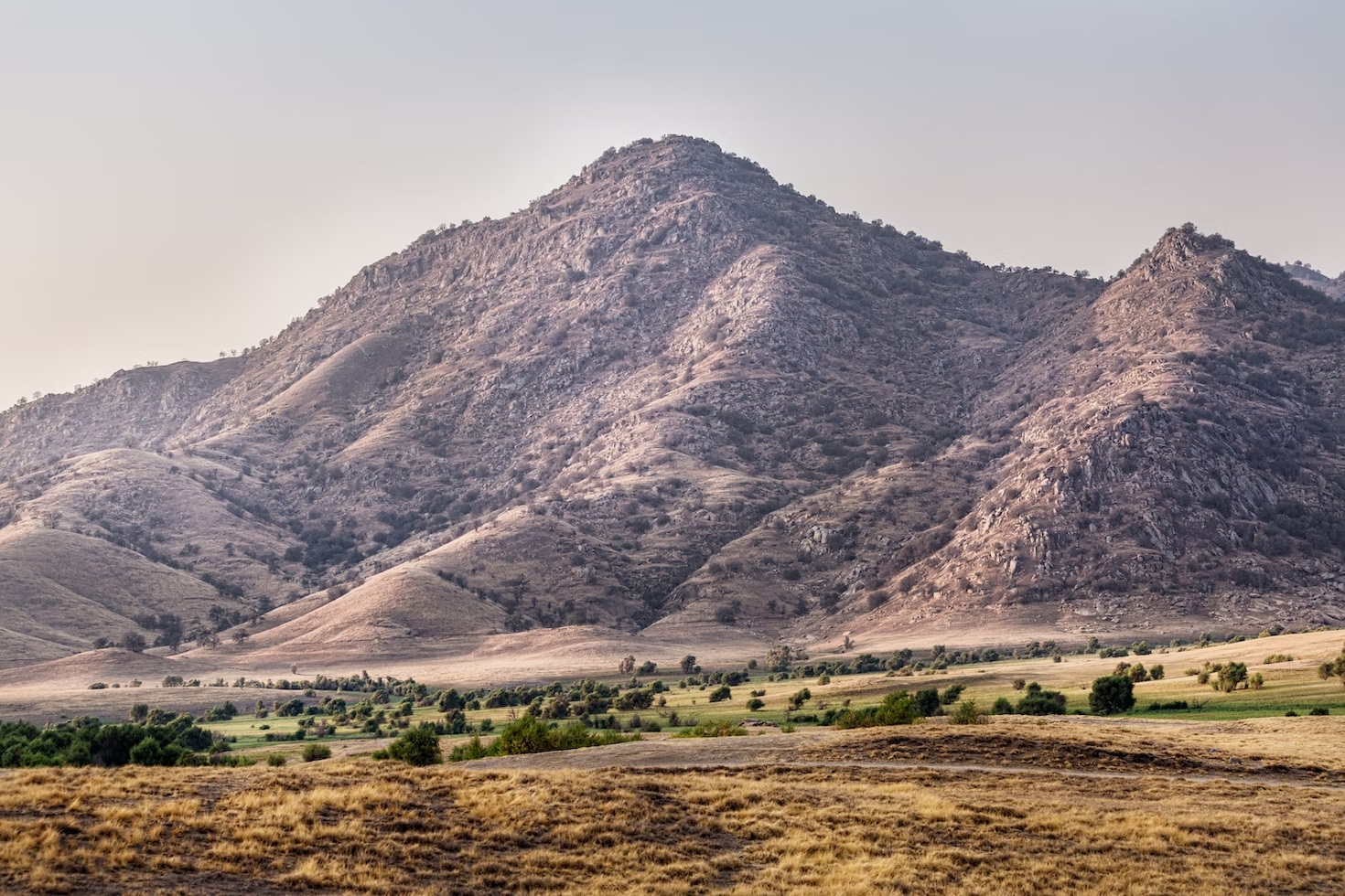 Green grass field near brown mountain